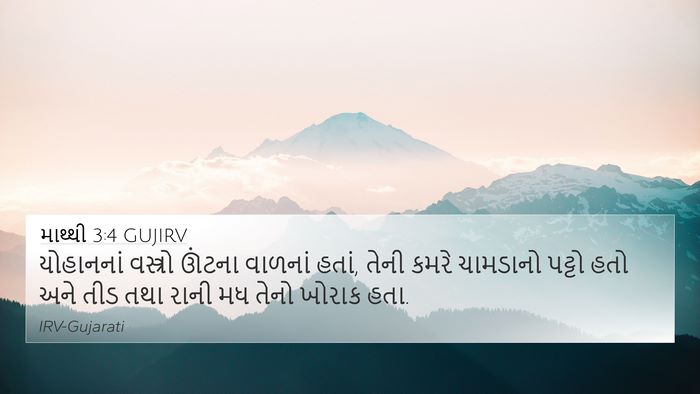 માથ્થી 3:4 GUJIRV Bible Verse Image
