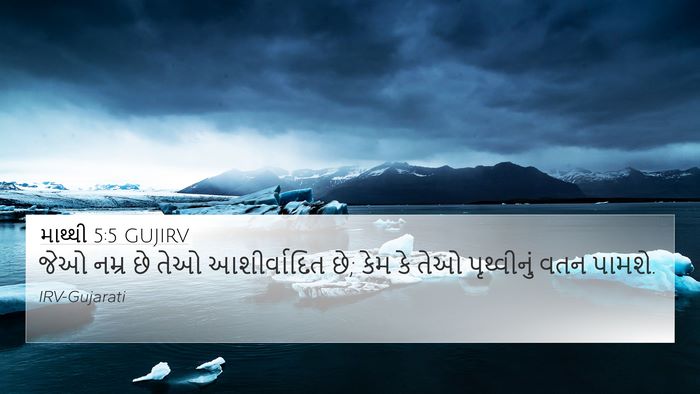 માથ્થી 5:5 GUJIRV Bible Verse Image