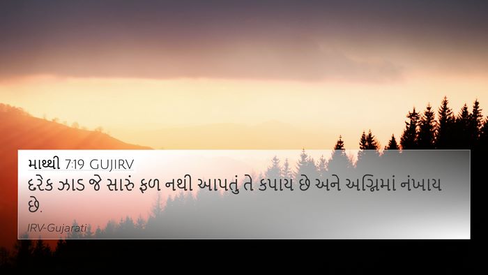 માથ્થી 7:19 GUJIRV 4K Wallpaper - દરેક ઝાડ જે સારું - 4K Wallpaper Bible Verse