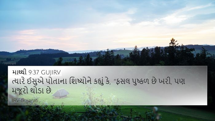 માથ્થી 9:37 GUJIRV Bible Verse Image
