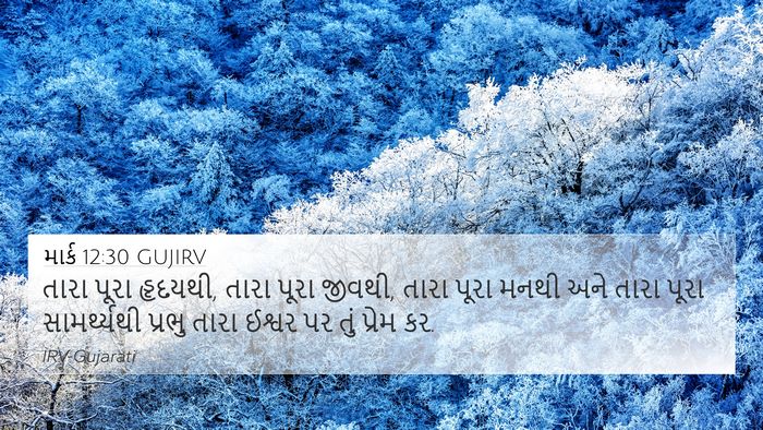 માર્ક 12:30 GUJIRV Bible Verse Image