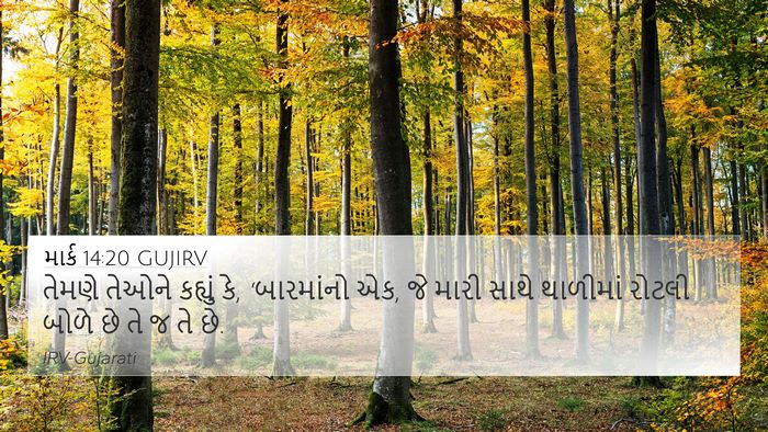 માર્ક 14:20 GUJIRV 4K Wallpaper - તેમણે તેઓને - 4K Wallpaper Bible Verse