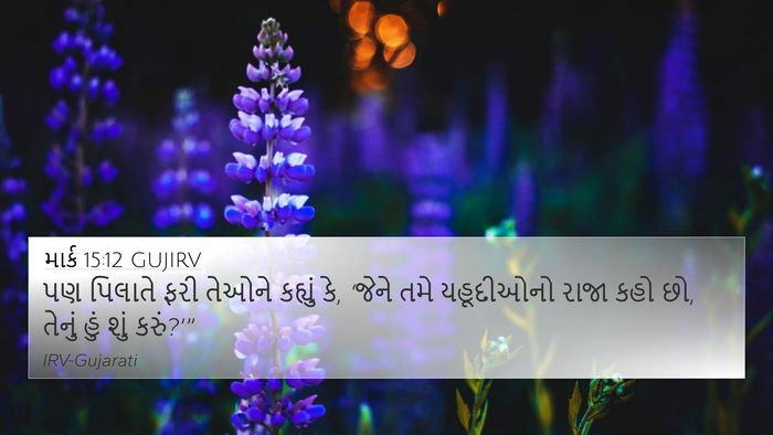 માર્ક 15:12 GUJIRV Bible Verse Image