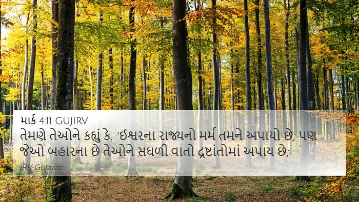 માર્ક 4:11 GUJIRV Bible Verse Image