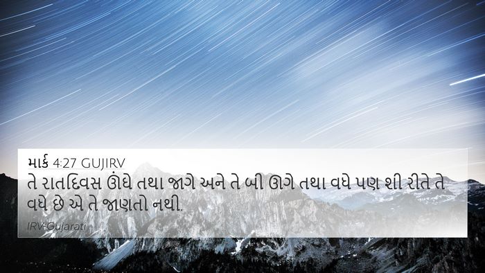 માર્ક 4:27 GUJIRV 4K Wallpaper - તે રાતદિવસ ઊંઘે - 4K Wallpaper Bible Verse