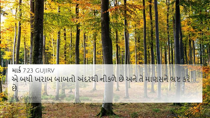 માર્ક 7:23 GUJIRV 4K Wallpaper - એ બધી ખરાબ બાબતો - 4K Wallpaper Bible Verse