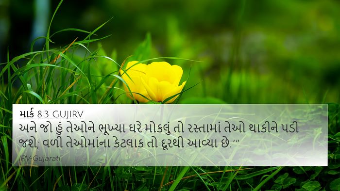 માર્ક 8:3 GUJIRV 4K Wallpaper - અને જો હું તેઓને - 4K Wallpaper Bible Verse
