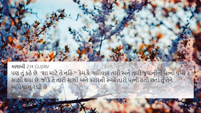 માલાખી 2:14 GUJIRV Bible Verse Image