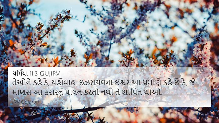 યર્મિયા 11:3 GUJIRV 4K Wallpaper - તેઓને કહે કે, - 4K Wallpaper Bible Verse