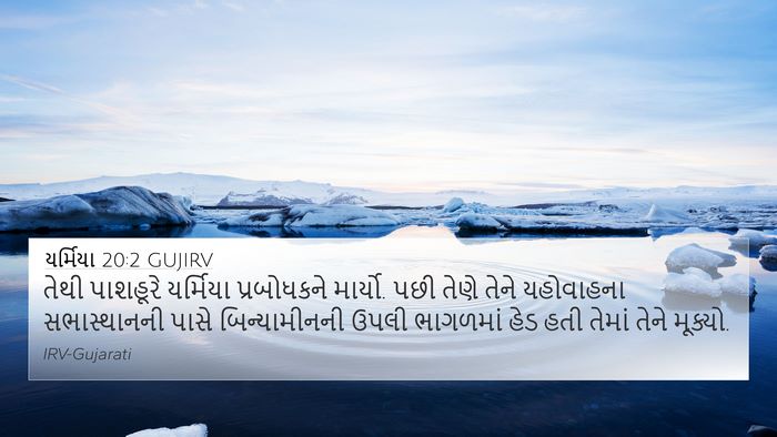 યર્મિયા 20:2 GUJIRV Bible Verse Image
