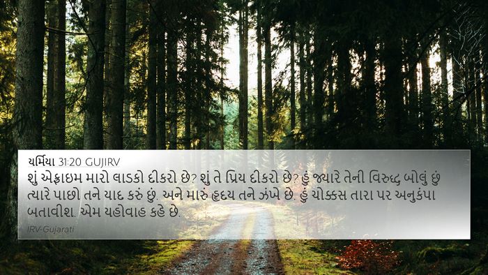 યર્મિયા 31:20 GUJIRV Bible Verse Image