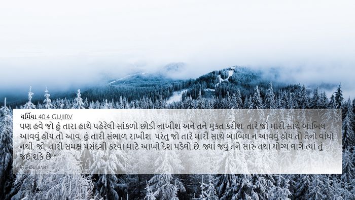 યર્મિયા 40:4 GUJIRV Bible Verse Image