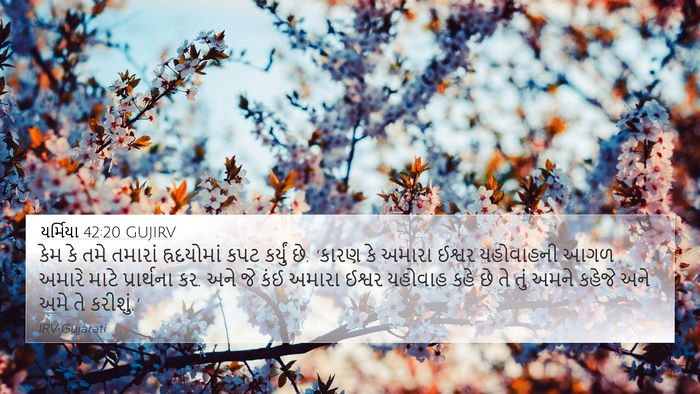 યર્મિયા 42:20 GUJIRV Bible Verse Image