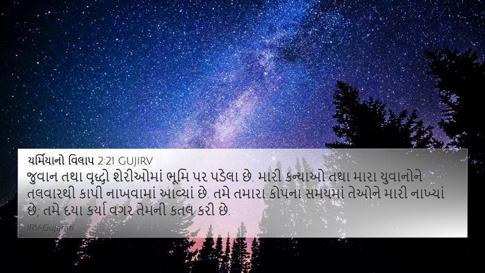 યર્મિયાનો વિલાપ 2:21 GUJIRV Bible Verse Image