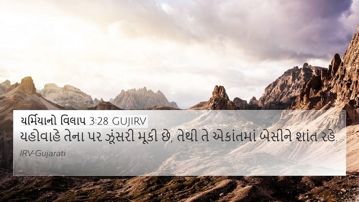 યર્મિયાનો વિલાપ 3:28 GUJIRV Bible Verse Image