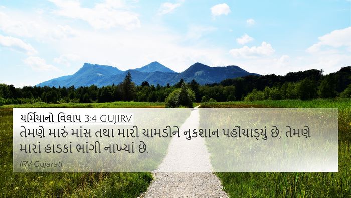 યર્મિયાનો વિલાપ 3:4 GUJIRV Bible Verse Image