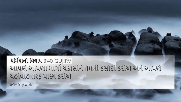 યર્મિયાનો વિલાપ 3:40 GUJIRV Bible Verse Image