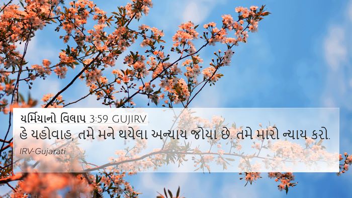યર્મિયાનો વિલાપ 3:59 GUJIRV Bible Verse Image