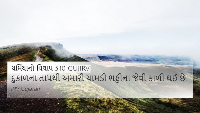 યર્મિયાનો વિલાપ 5:10 GUJIRV Bible Verse Image