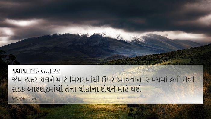 યશાયા 11:16 GUJIRV Bible Verse Image