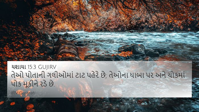 યશાયા 15:3 GUJIRV Bible Verse Image