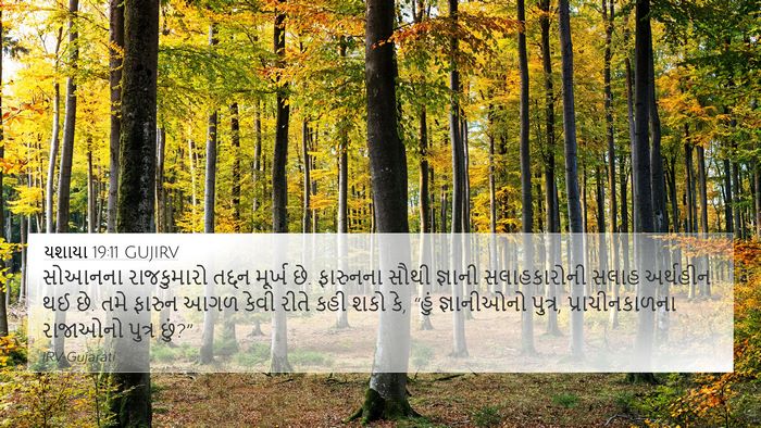 યશાયા 19:11 GUJIRV Bible Verse Image