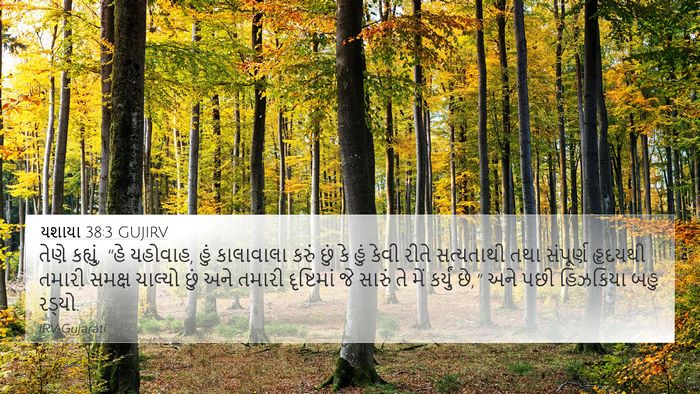 યશાયા 38:3 GUJIRV Bible Verse Image