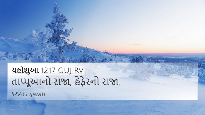 યહોશુઆ 12:17 GUJIRV Bible Verse Image