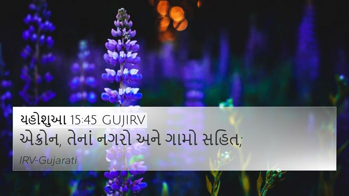 યહોશુઆ 15:45 GUJIRV Bible Verse Image