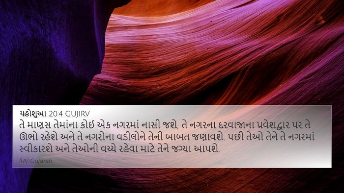 યહોશુઆ 20:4 GUJIRV Bible Verse Image