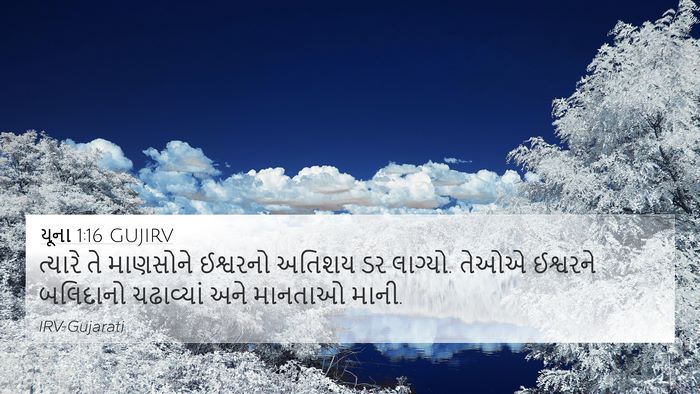 યૂના 1:16 GUJIRV Bible Verse Image
