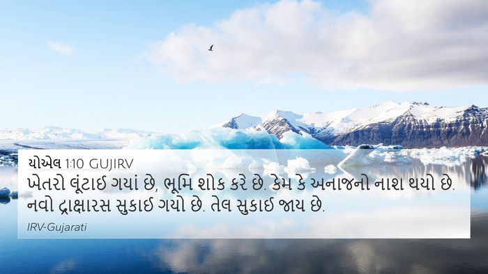યોએલ 1:10 GUJIRV Bible Verse Image