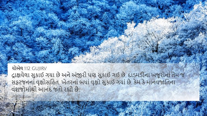 યોએલ 1:12 GUJIRV Bible Verse Image