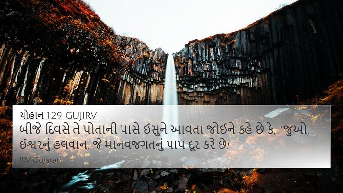 યોહાન 1:29 GUJIRV Bible Verse Image
