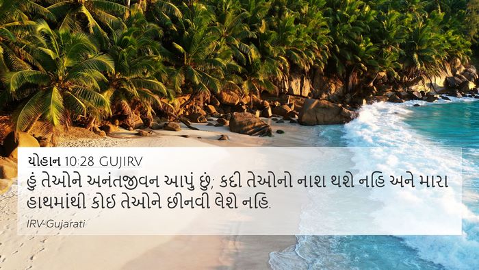 યોહાન 10:28 GUJIRV Bible Verse Image