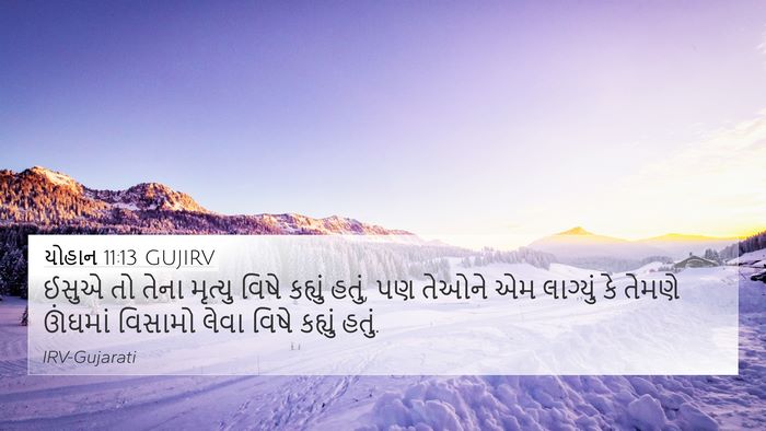 યોહાન 11:13 GUJIRV 4K Wallpaper - ઈસુએ તો તેના - 4K Wallpaper Bible Verse
