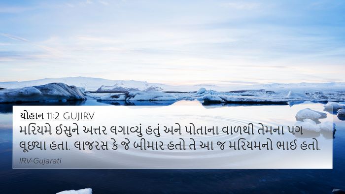 યોહાન 11:2 GUJIRV Bible Verse Image