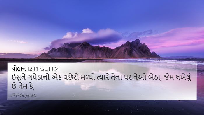 યોહાન 12:14 GUJIRV Bible Verse Image