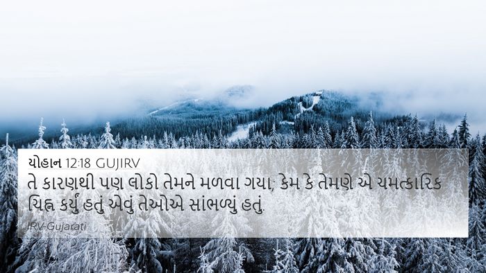 યોહાન 12:18 GUJIRV Bible Verse Image