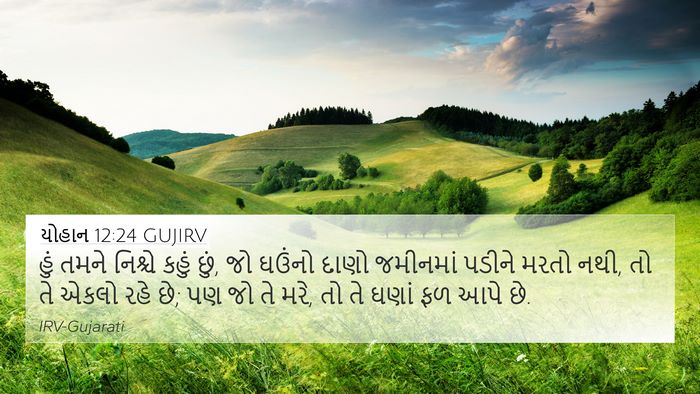 યોહાન 12:24 GUJIRV Bible Verse Image