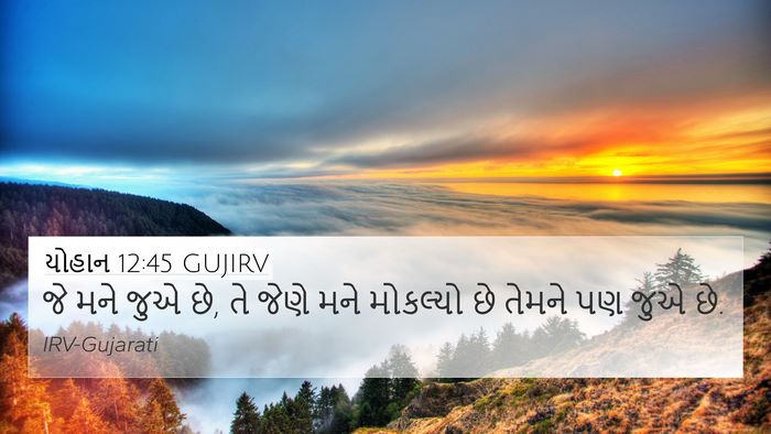 યોહાન 12:45 GUJIRV Bible Verse Image