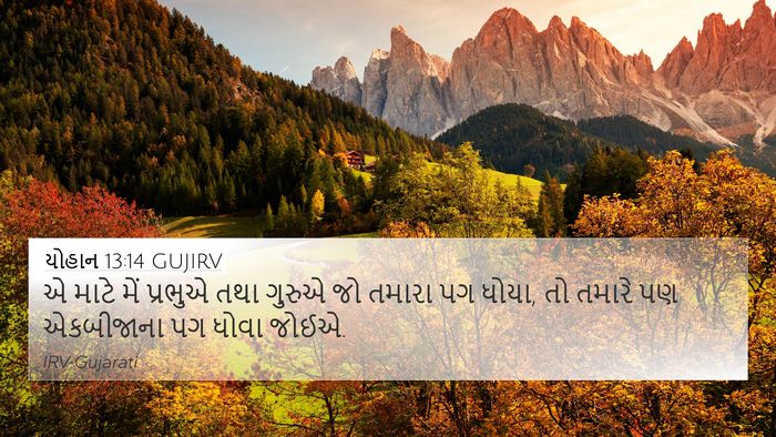 યોહાન 13:14 GUJIRV Bible Verse Image