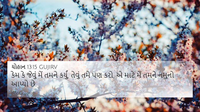 યોહાન 13:15 GUJIRV Bible Verse Image