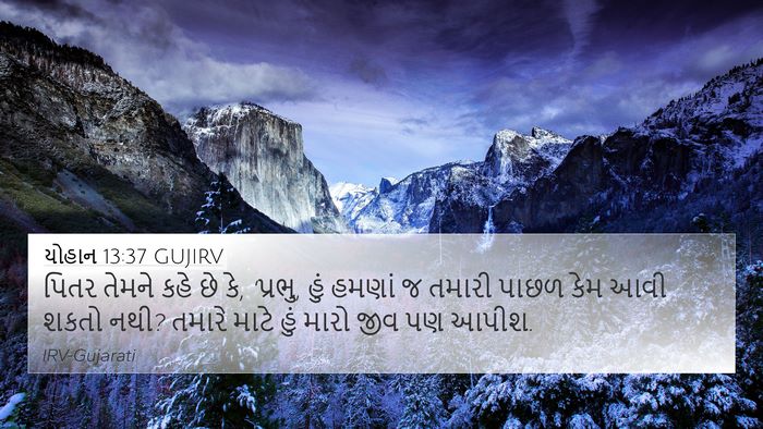 યોહાન 13:37 GUJIRV Bible Verse Image
