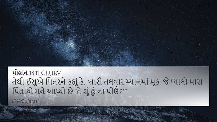 યોહાન 18:11 GUJIRV Bible Verse Image