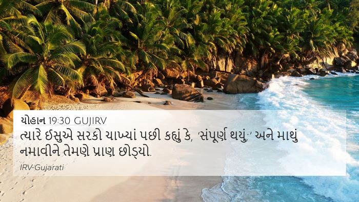 યોહાન 19:30 GUJIRV Bible Verse Image