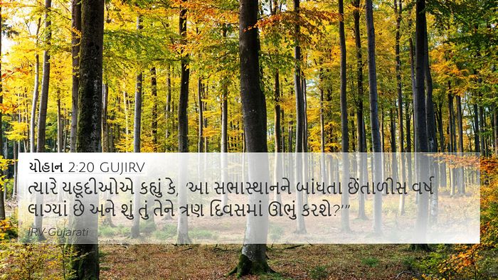 યોહાન 2:20 GUJIRV Bible Verse Image