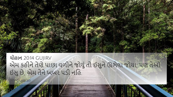 યોહાન 20:14 GUJIRV Bible Verse Image