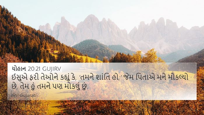 યોહાન 20:21 GUJIRV Bible Verse Image