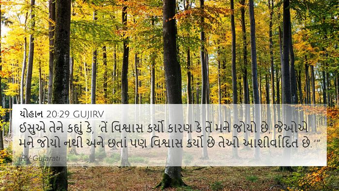 યોહાન 20:29 GUJIRV Bible Verse Image